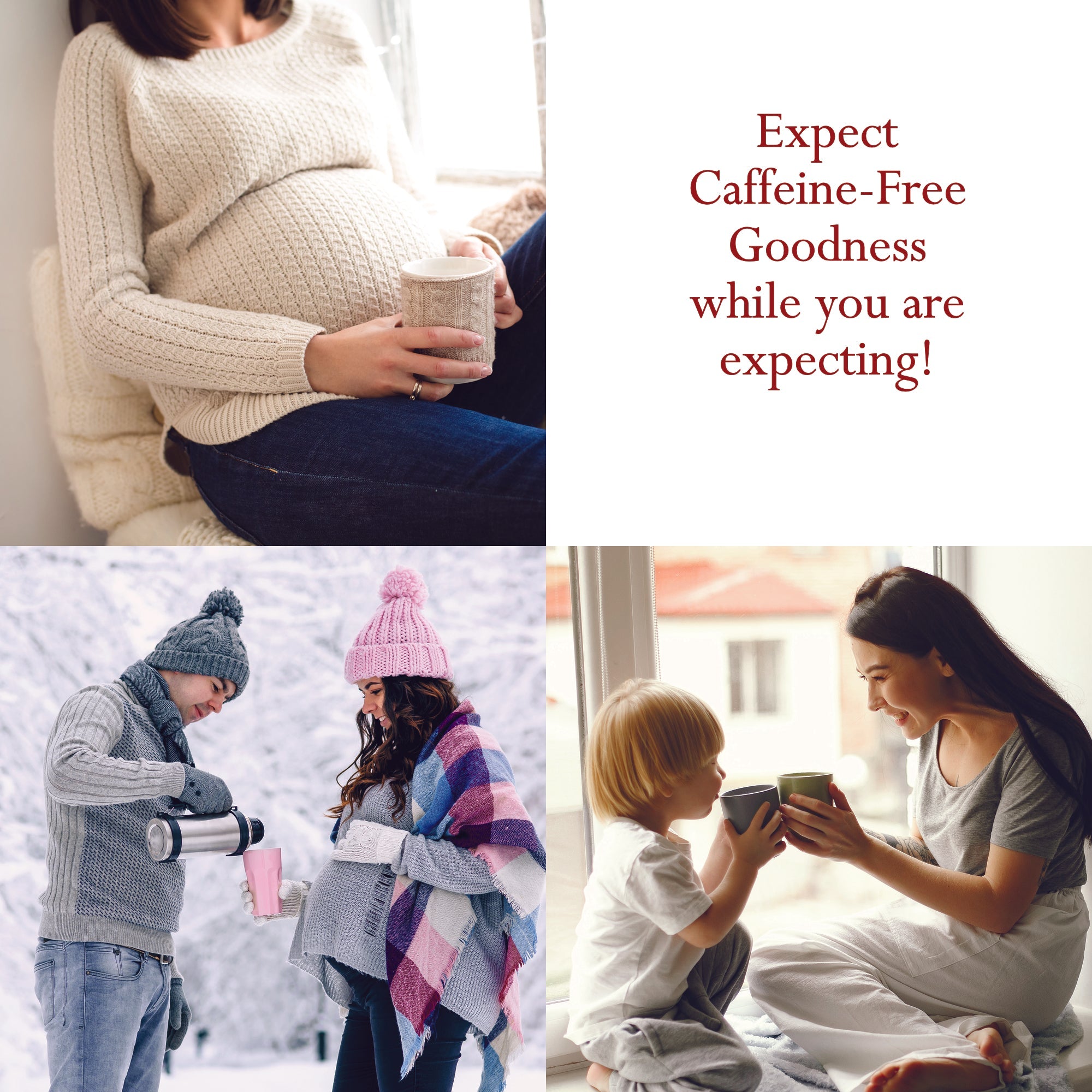 🍁Foothills Naturals: Dandelion Root Roasted, Organic